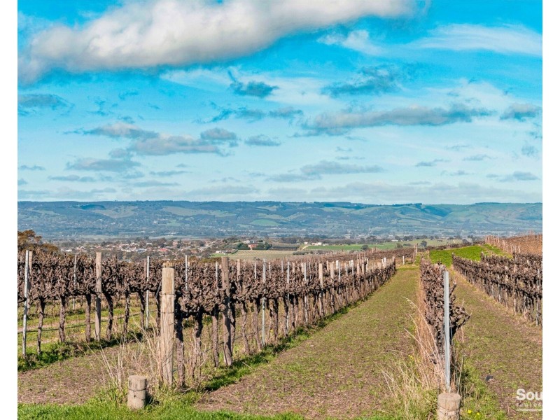 176 Seaview Road, Mclaren Vale SA 5171