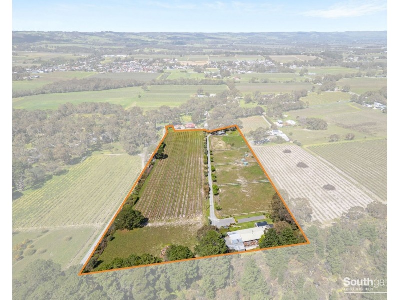 131 Blewitt Springs Road, Mclaren Flat SA 5171
