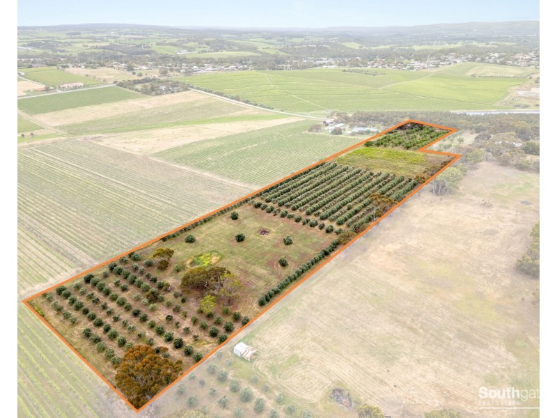 Lot 14 Bellevue Drive, Mclaren Vale SA 5171