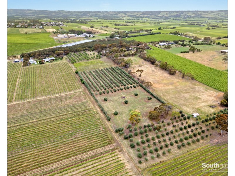 Lot 14 Bellevue Drive, Mclaren Vale SA 5171