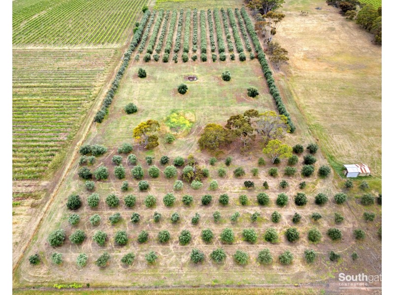 Lot 14 Bellevue Drive, Mclaren Vale SA 5171
