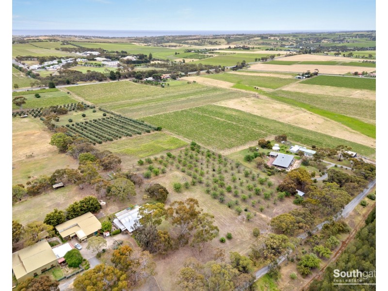 Lot 14 Bellevue Drive, Mclaren Vale SA 5171