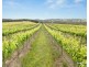 Lot 26 & Lot 200 Blythmans Road, Blewitt Springs SA 5171