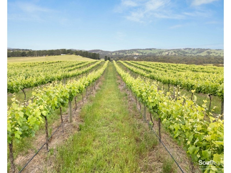 Lot 26 & Lot 200 Blythmans Road, Blewitt Springs SA 5171