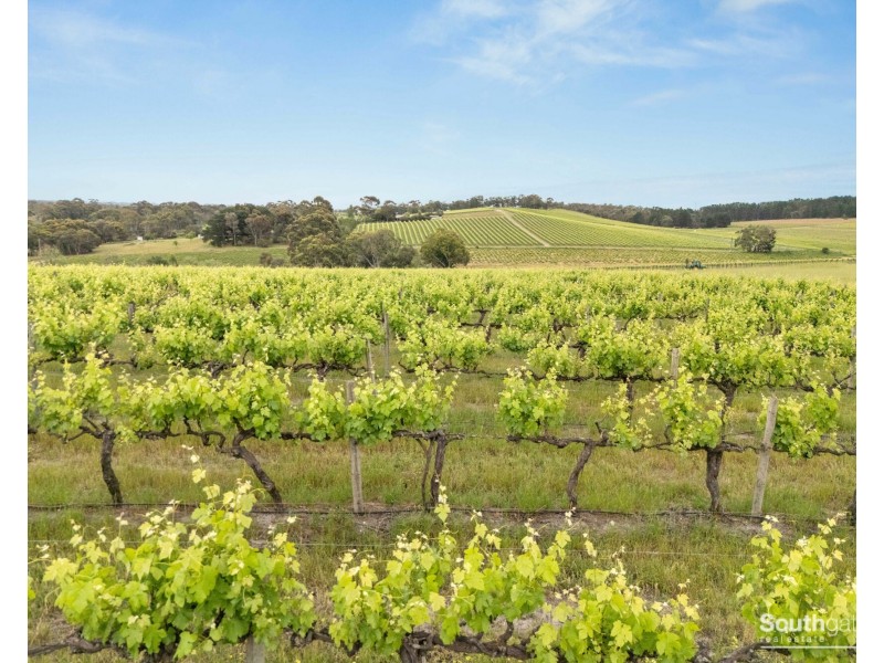 Lot 26 & Lot 200 Blythmans Road, Blewitt Springs SA 5171