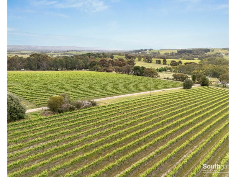 Lot 26 & Lot 200 Blythmans Road, Blewitt Springs SA 5171