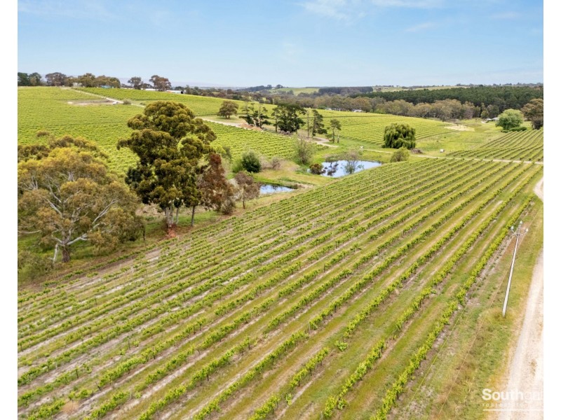 Lot 26 & Lot 200 Blythmans Road, Blewitt Springs SA 5171