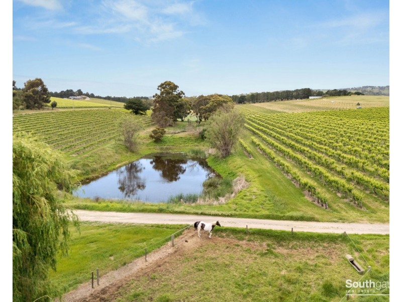 Lot 26 & Lot 200 Blythmans Road, Blewitt Springs SA 5171