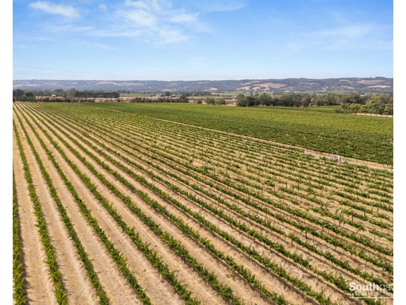 28 Bayliss Road, Whites Valley SA 5172