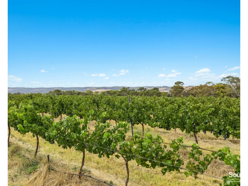 28 Bayliss Road, Whites Valley SA 5172