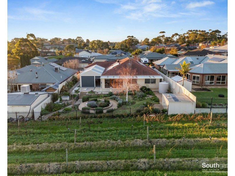 11 Grapevine Lane, Mclaren Vale SA 5171