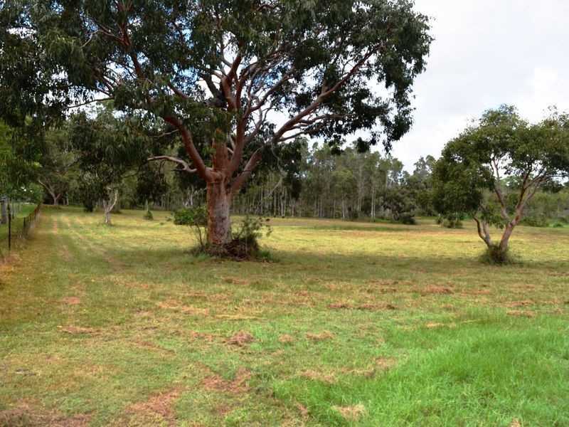 12 Cerebus Court, Cooloola Cove QLD 4580