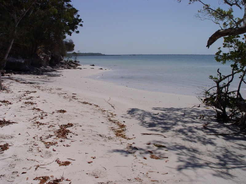 Lot 33/1 Orchid Avenue, Tinnanbar QLD 4650