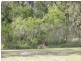 83 Esplanade, Tin Can Bay QLD 4580