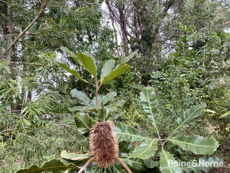 2 /14 Barramundi Street, Tin Can Bay QLD 4580