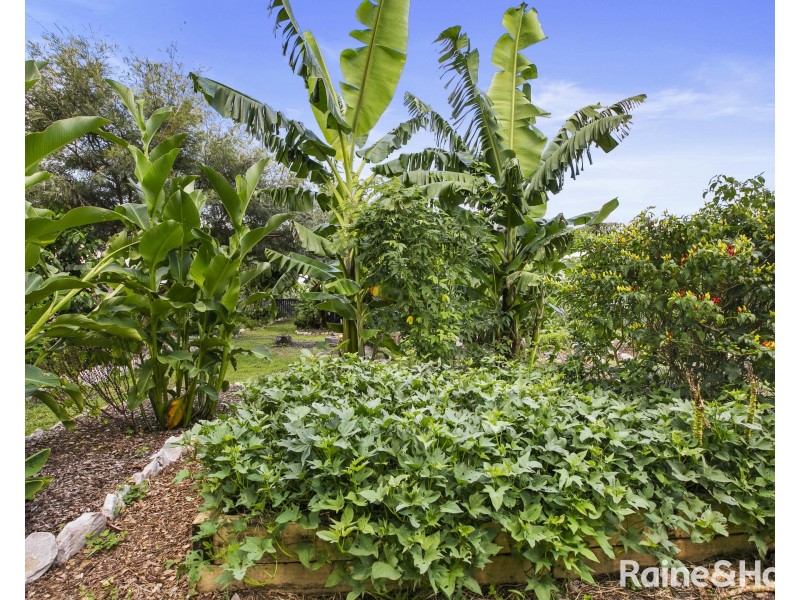 11 Tailor Street, Tin Can Bay QLD 4580