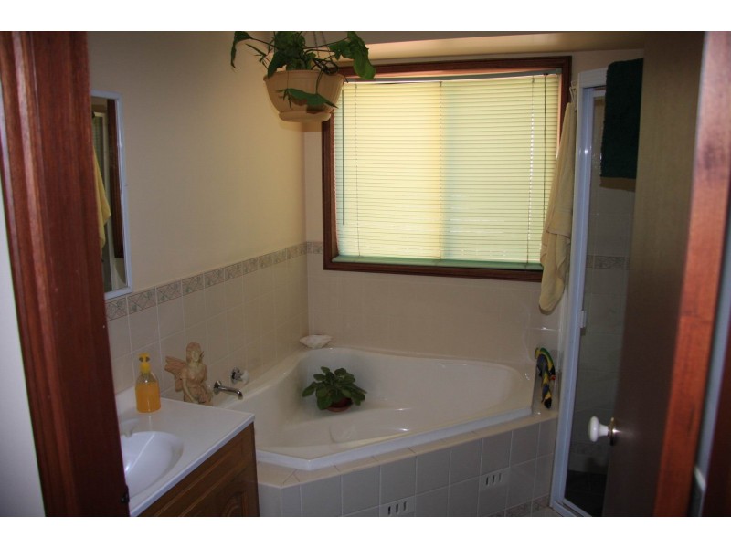 Wattle Grove NSW 2173