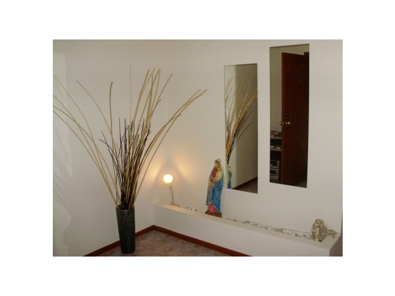 102 Tamworth Cres, Hoxton Park NSW 2171