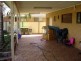 61 Grevillea Cr, Prestons NSW 2170