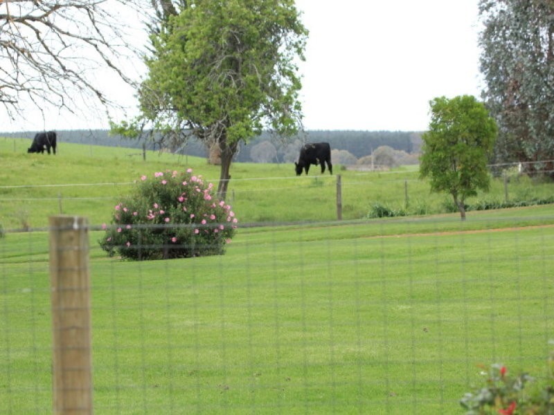 162 Corndale Road, Casterton VIC 3311