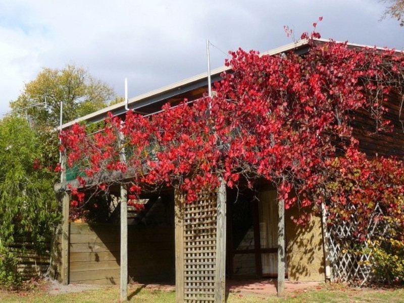 162 Corndale Road, Casterton VIC 3311