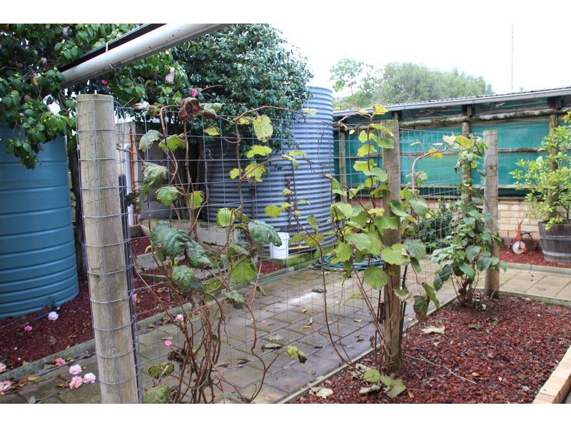 55 Banksia Street, Mount Gambier SA 5290