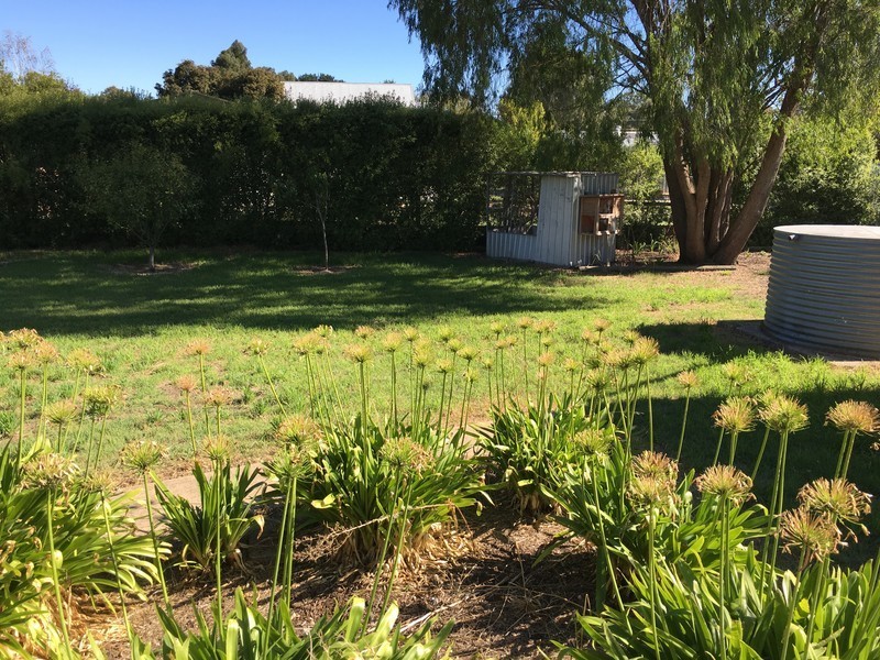 5 George Street, Kalangadoo SA 5278