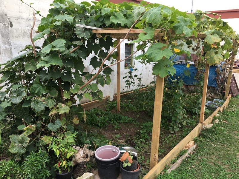 24 Birdwood Avenue, Mount Gambier SA 5290