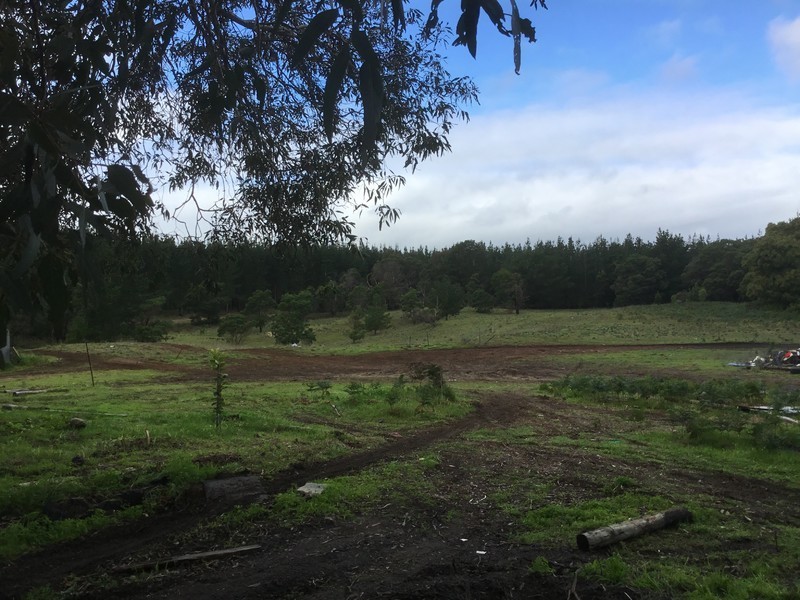 190 Kennedy Road, Tantanoola SA 5280