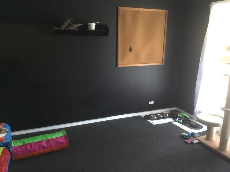 190 Kennedy Road, Tantanoola SA 5280