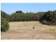 20499 Riddoch Highway, Mil Lel SA 5291