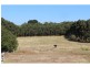 20499 Riddoch Highway, Mil Lel SA 5291