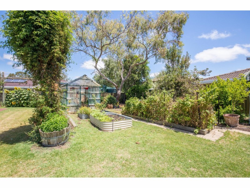 3 Bellshire Place, Mount Gambier SA 5290