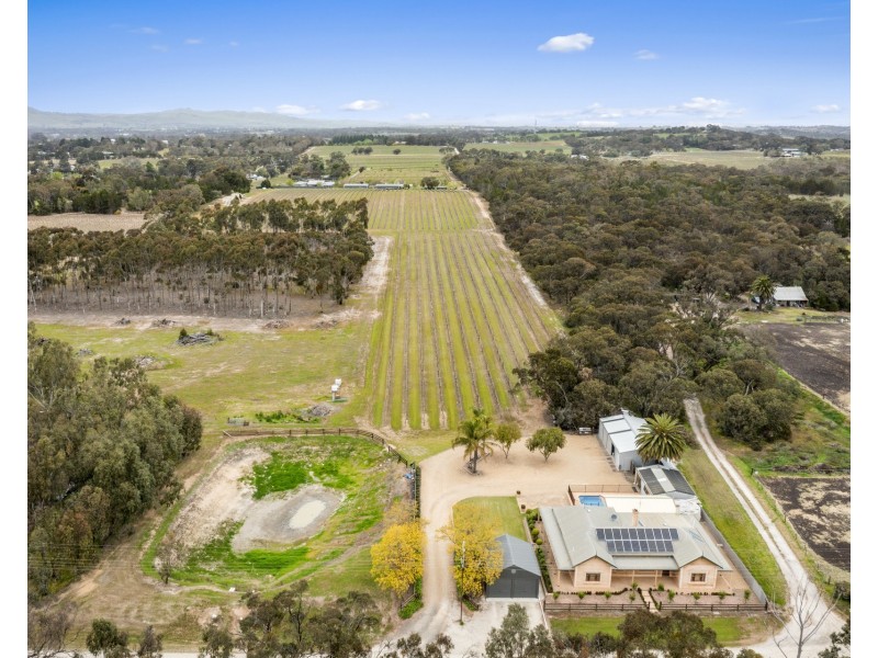 47 Peramangk Road, Nuriootpa SA 5355