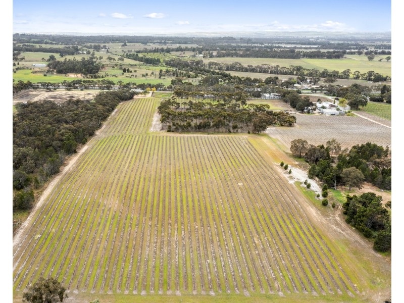 47 Peramangk Road, Nuriootpa SA 5355
