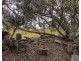 47 Peramangk Road, Nuriootpa SA 5355