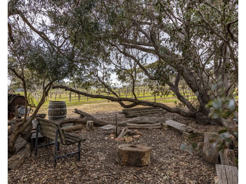 47 Peramangk Road, Nuriootpa SA 5355