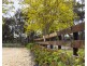 47 Peramangk Road, Nuriootpa SA 5355