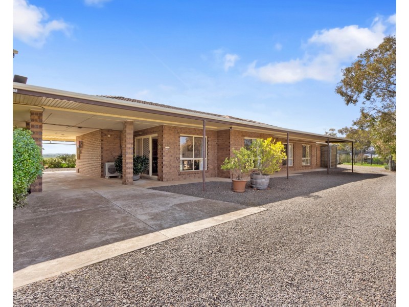 31 Light Street, Kapunda SA 5373