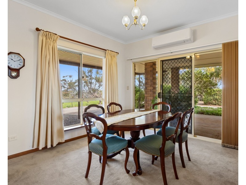31 Light Street, Kapunda SA 5373