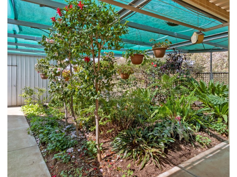 31 Light Street, Kapunda SA 5373