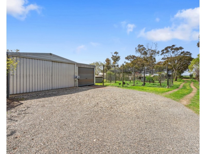 31 Light Street, Kapunda SA 5373