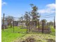 31 Light Street, Kapunda SA 5373