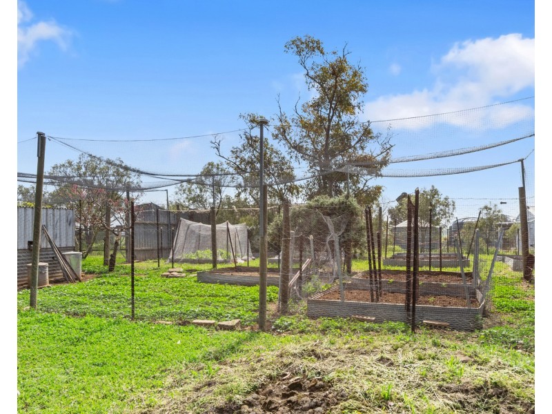 31 Light Street, Kapunda SA 5373