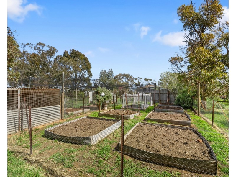 31 Light Street, Kapunda SA 5373