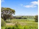 31 Light Street, Kapunda SA 5373