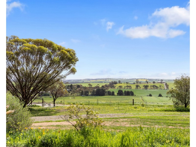 31 Light Street, Kapunda SA 5373