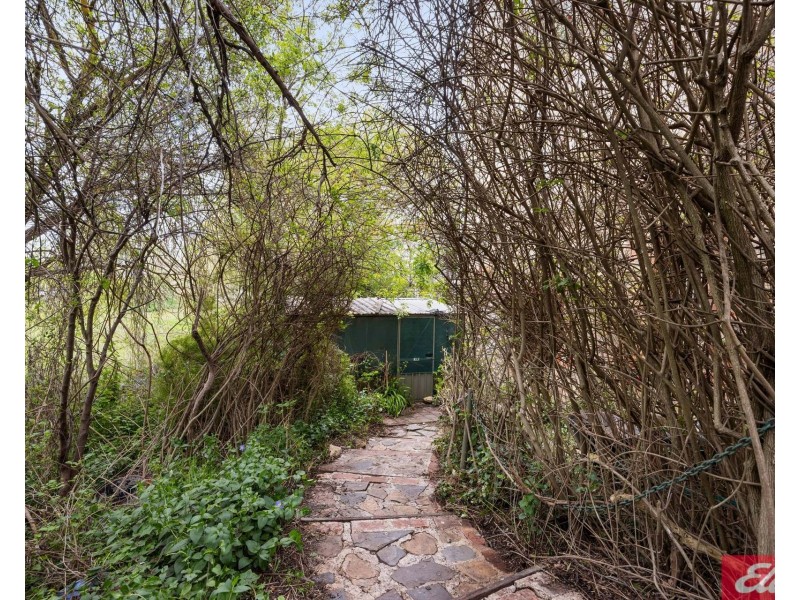56 Murray Street, Angaston SA 5353