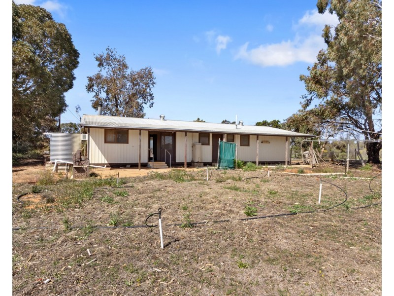 86 Pope Road, Waikerie SA 5330