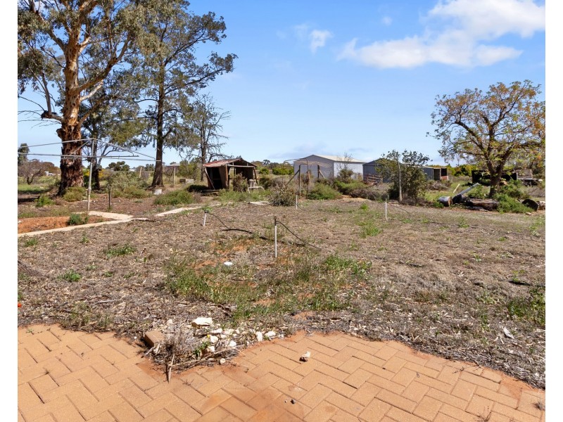 86 Pope Road, Waikerie SA 5330